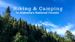 Hiking and Camping in Alabama's National Forests