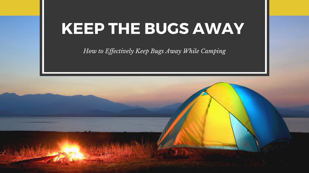 How to Effectively Keep Bugs Away While Camping